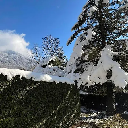 Coquet Rdc Avec Terrasse, Animaux Admis, Etang - Fr-1-629-55 Apartment Samoens