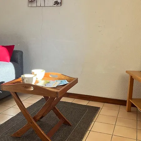 Coquet Rdc Avec Terrasse, Animaux Admis, Etang - Fr-1-629-55 Apartment