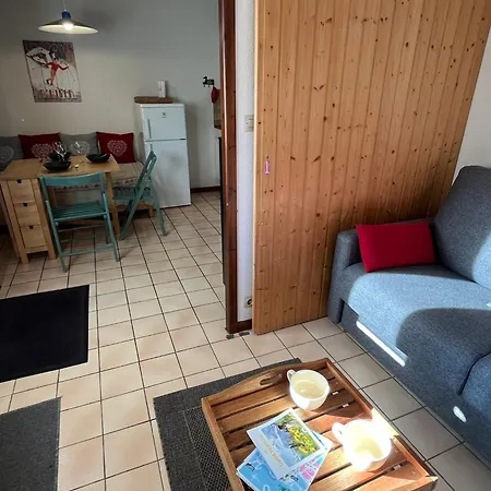 Coquet Rdc Avec Terrasse, Animaux Admis, Etang - Fr-1-629-55 * Samoens